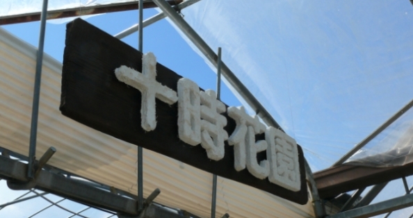 木目の板と漆喰の看板 木目の板と漆喰の看板